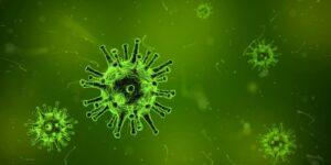 Koronavirus