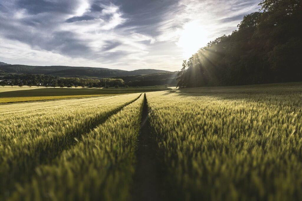 Zemědělci a farmáři